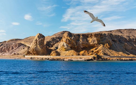 Excursion en bateau vers l'île de Tiran