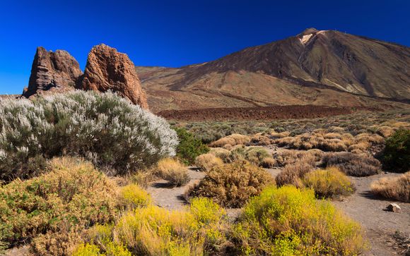 Pour aller plus loin 