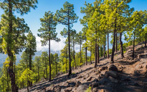 Pour aller plus loin 