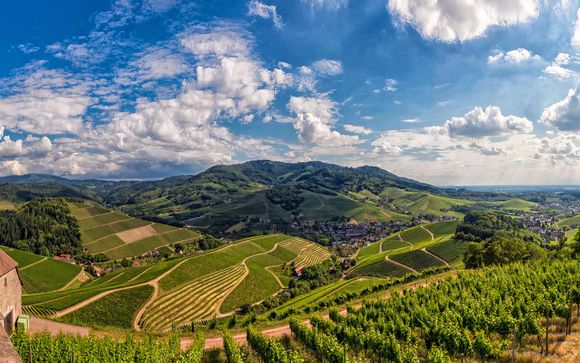 Willkommen im... Schwarzwald!