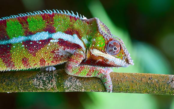 Pour aller plus loin 