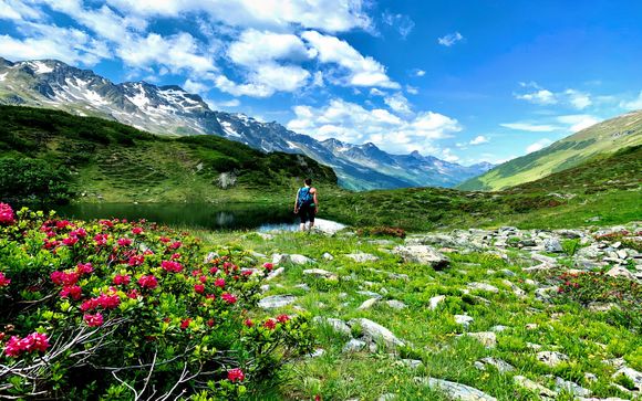 Willkommen in... Tirol!
