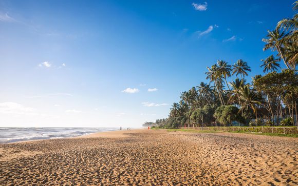 Ihre Rundreise im Detail