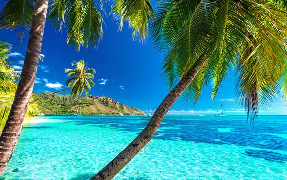 Willkommen in... Polynesien!