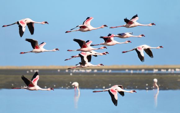 Ihre Autotour im Detail