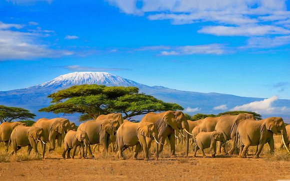 Willkommen in... Tansania!