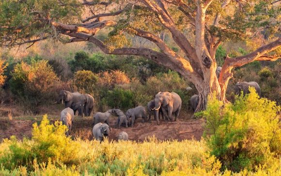 Ihre Rundreise im Detail