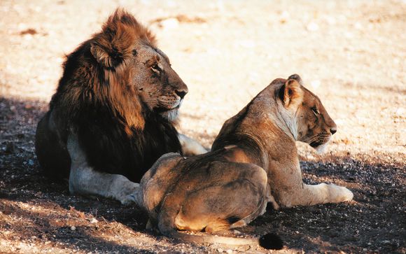 Ihre Reise im Detail