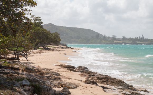 Ihre Rundreise im Detail