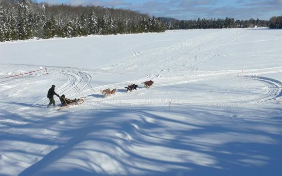 Ihre Rundreise im Detail