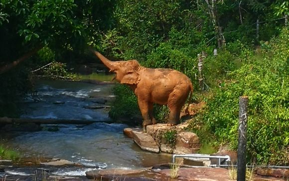 Ihre Ausflugsoptionen