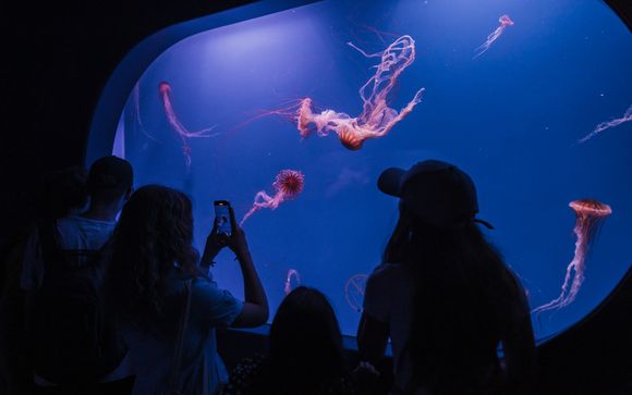 Rendez-vous... à Valencia