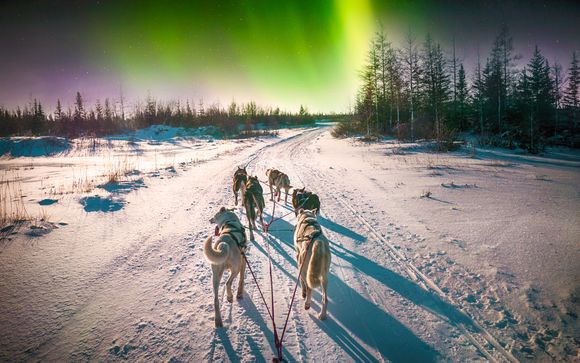 Ihre Reise im Detail