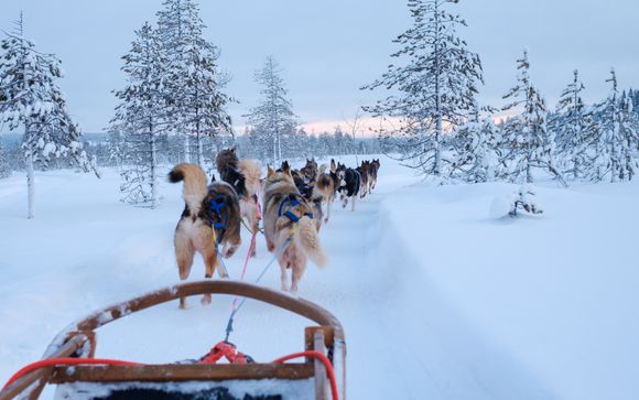 Ihre Ausflugsoptionen