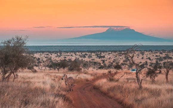 Ihre Safari im Überblick
