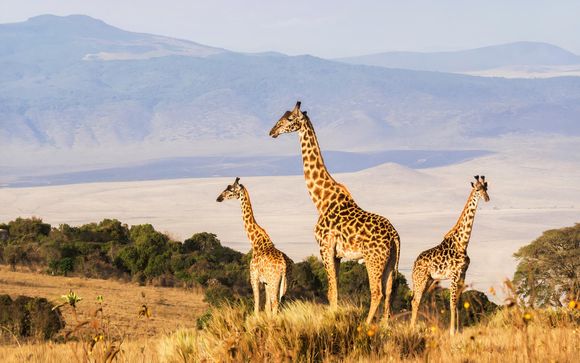 Ihre Rundreise im Detail