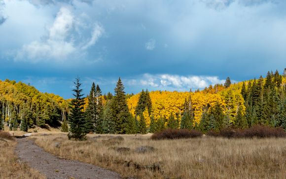 Ihre Reise im Detail