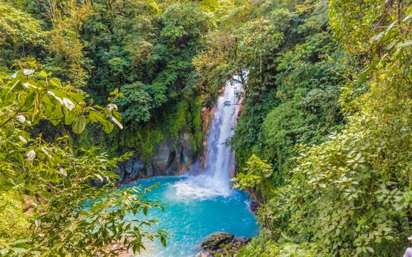 Ihre Ausflugsoptionen