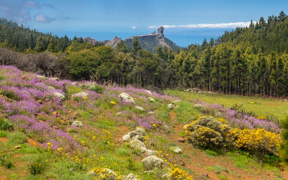 Willkommen auf... Gran Canaria!