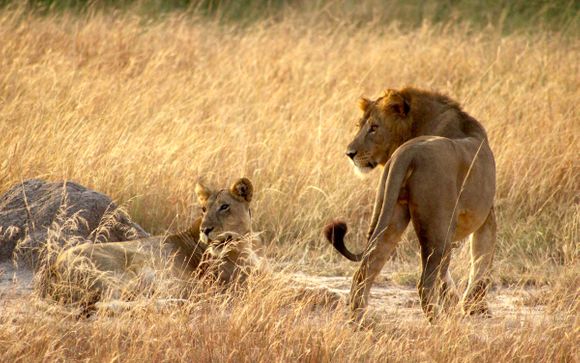 Ihre Rundreise im Detail