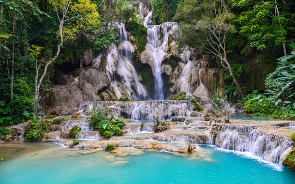 Ihre Ausflugsoptionen