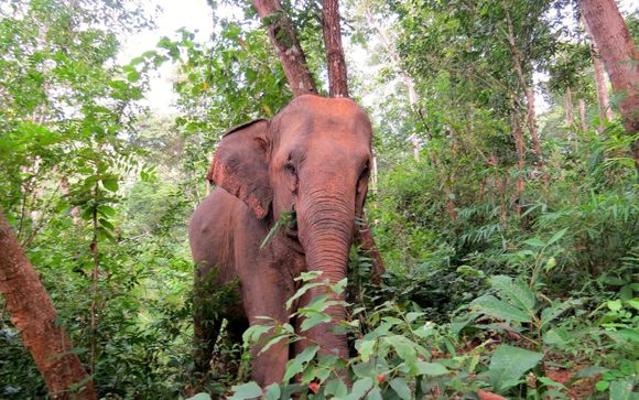 Ihre Ausflugsoptionen