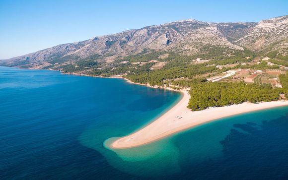 Ihre Kreuzfahrt im Detail