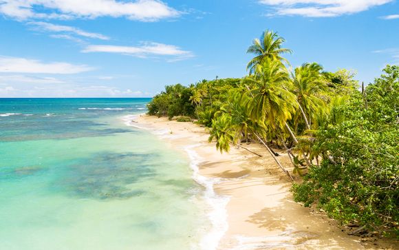 Ihre Autotour im Detail