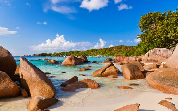 Ihre Kreuzfahrt im Detail