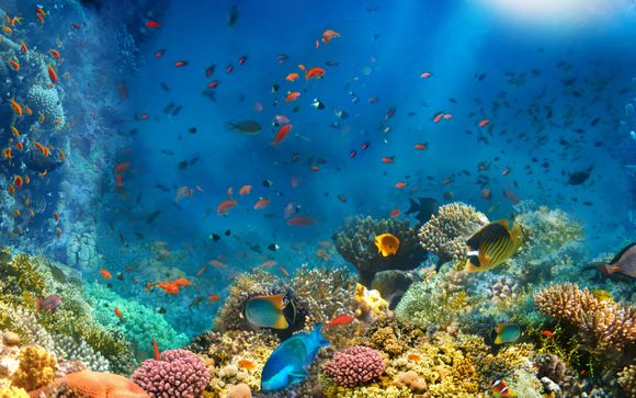 Ihre Ausflugsoptionen