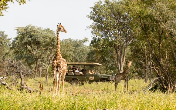 Safari in der Sebatana Rhino Lodge