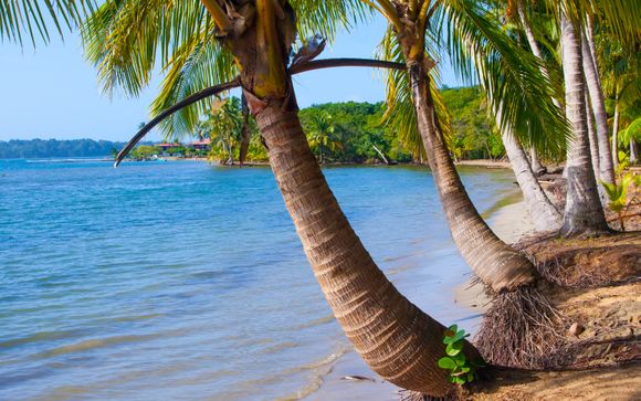 Ihre Rundreise im Detail