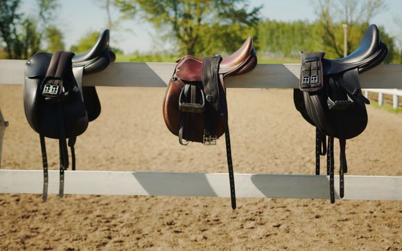 Ihre enthaltenen Ausflüge