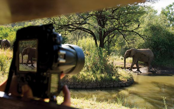 Ihre Ausflugsoptionen