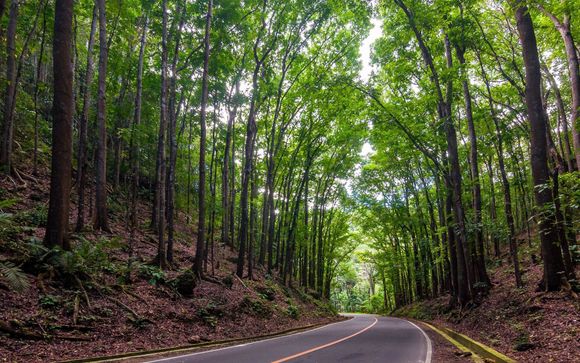 Ihre Rundreise im Detail