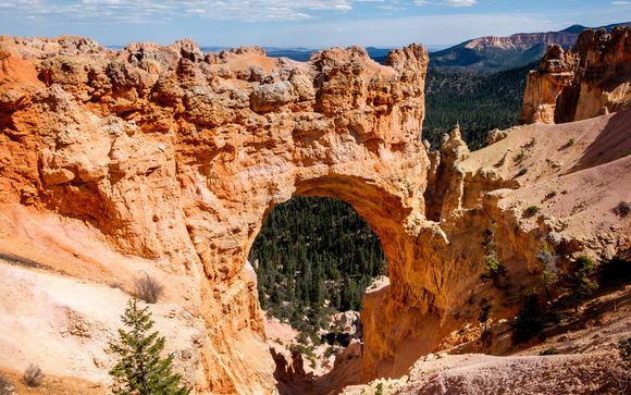 Ihre Rundreise im Detail