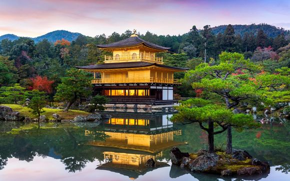 Ihre Reise im Detail