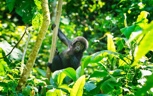 Ihre Rundreise im Detail