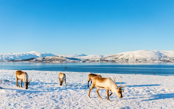 Ihre Ausflugsoptionen