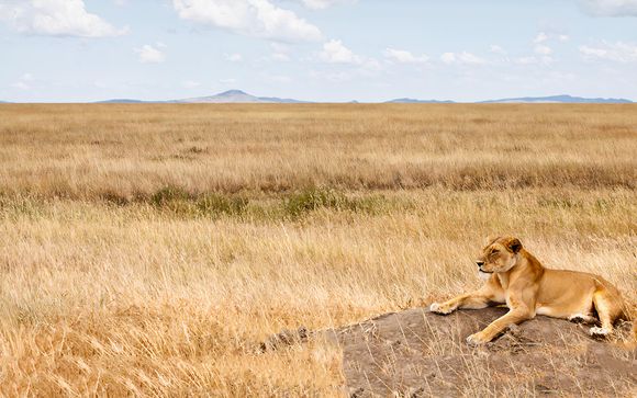 Willkommen in Tansania