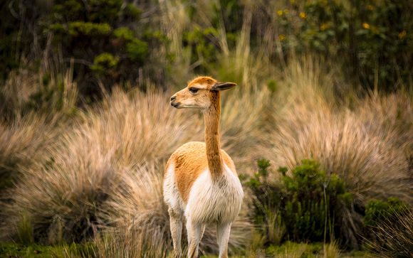 Ihre Rundreise im Überblick