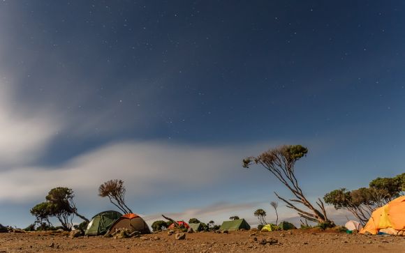 Ihre Reise im Detail