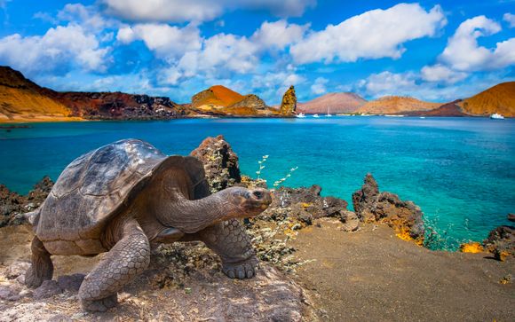 Ihre Kreuzfahrt im Detail