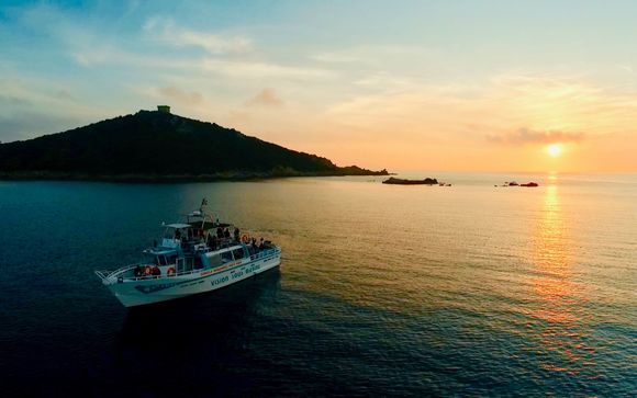 Vos options pour plus d