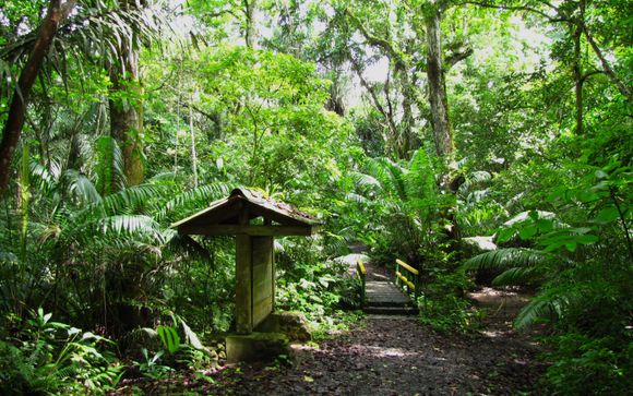 Ihre Reise im Detail