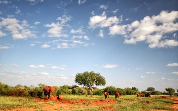 Ihre Safari im Detail