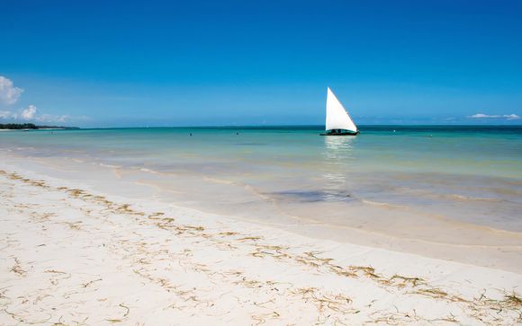 Ihre Ausflugsoptionen