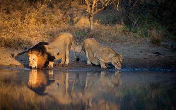 Ihre Rundreise im Detail