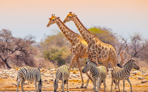 Ihre Ausflugsoptionen