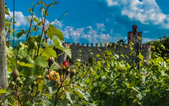 Ihre Rundreise im Detail